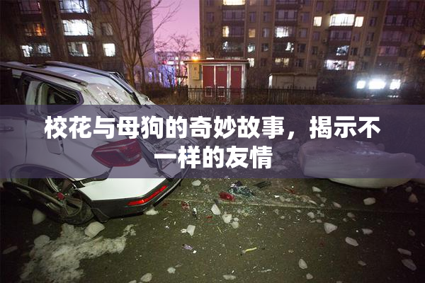校花与母狗的奇妙故事，揭示不一样的友情
