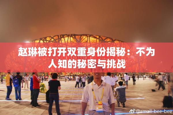 赵琳被打开双重身份揭秘：不为人知的秘密与挑战