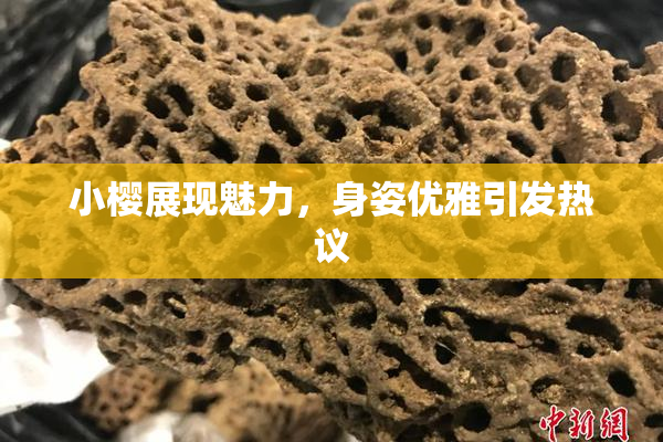 小樱展现魅力，身姿优雅引发热议