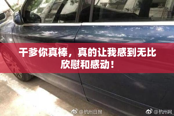 干爹你真棒，真的让我感到无比欣慰和感动！
