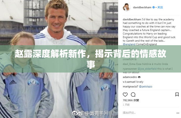 赵露深度解析新作，揭示背后的情感故事