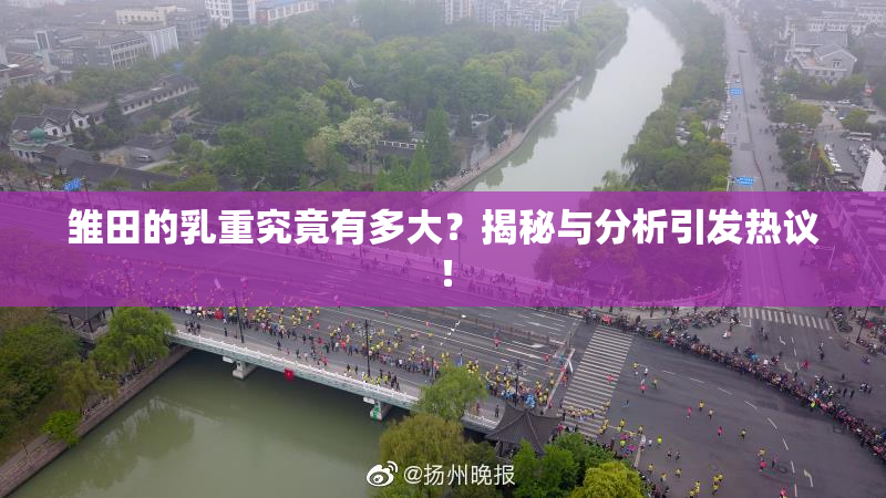 雏田的乳重究竟有多大？揭秘与分析引发热议！