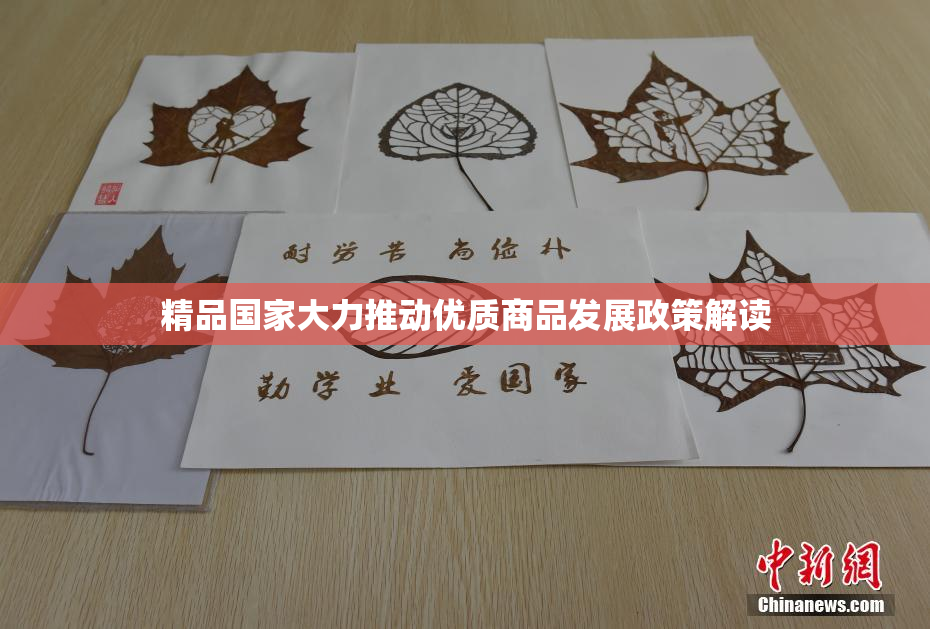 精品国家大力推动优质商品发展政策解读