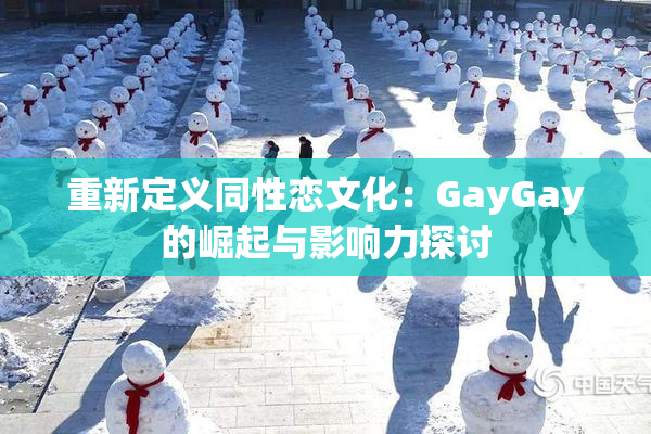 重新定义同性恋文化：GayGay的崛起与影响力探讨