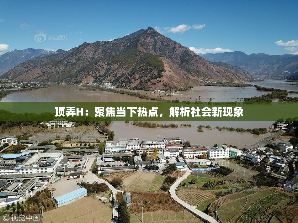 顶弄H：聚焦当下热点，解析社会新现象