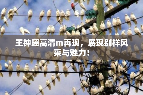 王钟瑶高清m再现，展现别样风采与魅力！