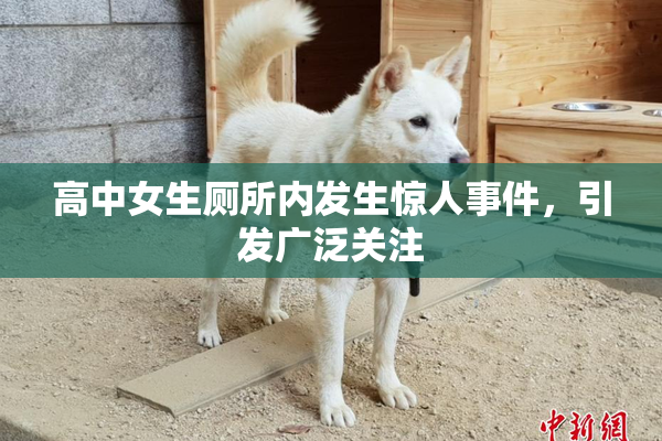 高中女生厕所内发生惊人事件，引发广泛关注