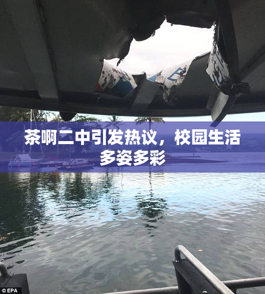 茶啊二中引发热议，校园生活多姿多彩