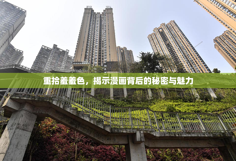 重拾羞羞色，揭示漫画背后的秘密与魅力