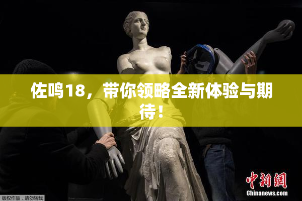 佐鸣18，带你领略全新体验与期待！