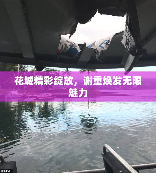 花城精彩绽放，谢重焕发无限魅力