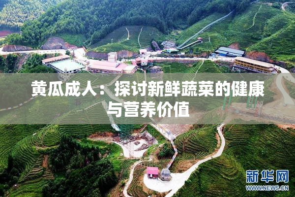 黄瓜成人：探讨新鲜蔬菜的健康与营养价值