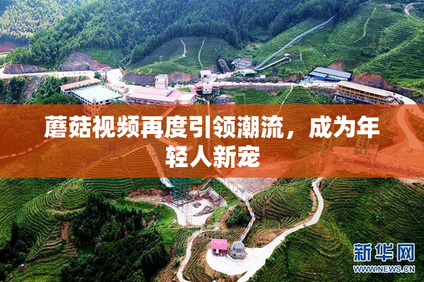 蘑菇视频再度引领潮流，成为年轻人新宠