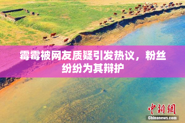 霉霉被网友质疑引发热议，粉丝纷纷为其辩护