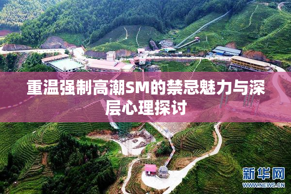 重温强制高潮SM的禁忌魅力与深层心理探讨