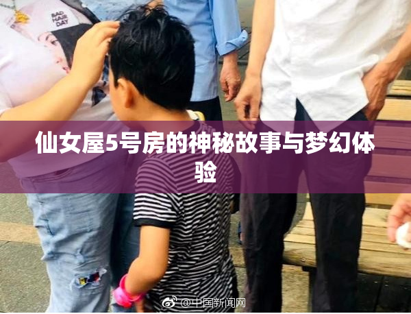 仙女屋5号房的神秘故事与梦幻体验