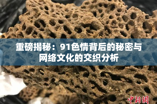 重磅揭秘：91色情背后的秘密与网络文化的交织分析