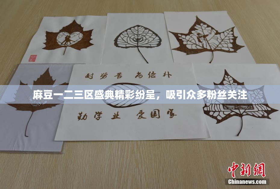 麻豆一二三区盛典精彩纷呈，吸引众多粉丝关注