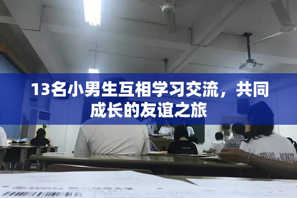 13名小男生互相学习交流，共同成长的友谊之旅