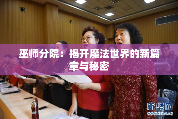 巫师分院：揭开魔法世界的新篇章与秘密