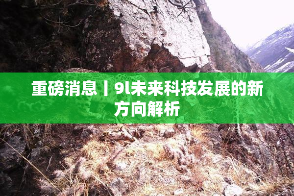 重磅消息丨9l未来科技发展的新方向解析