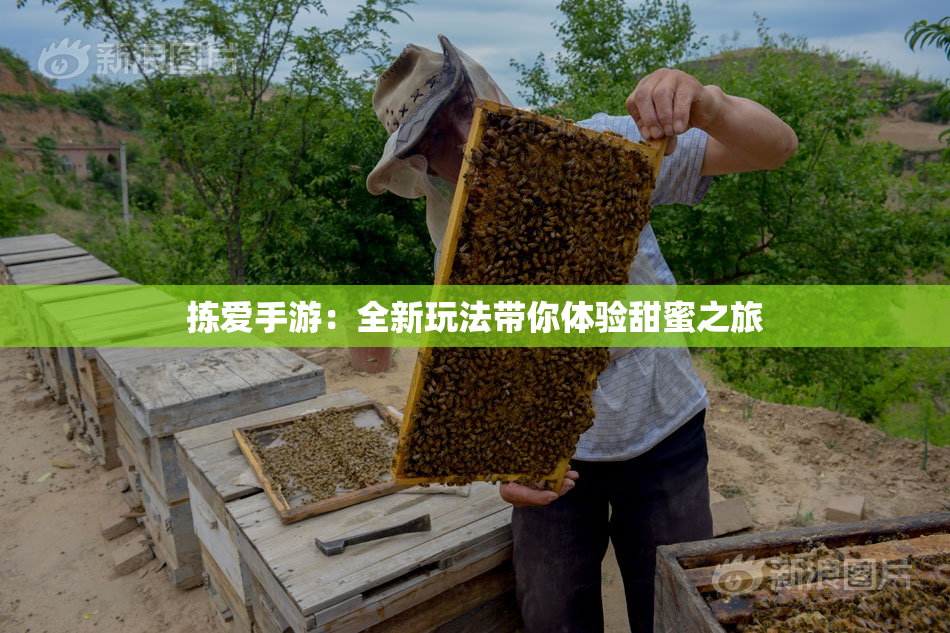 拣爱手游：全新玩法带你体验甜蜜之旅