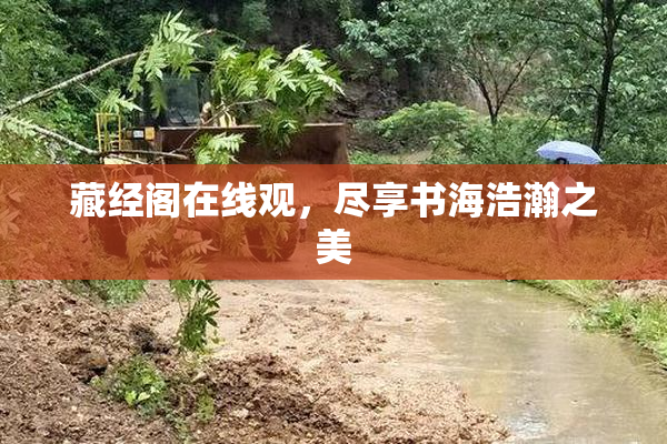 藏经阁在线观，尽享书海浩瀚之美
