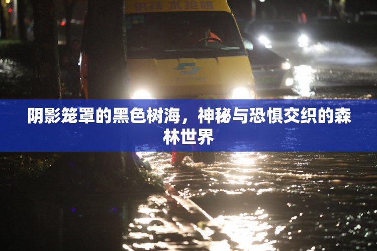 阴影笼罩的黑色树海，神秘与恐惧交织的森林世界