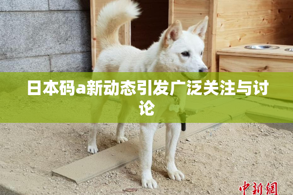 日本码a新动态引发广泛关注与讨论