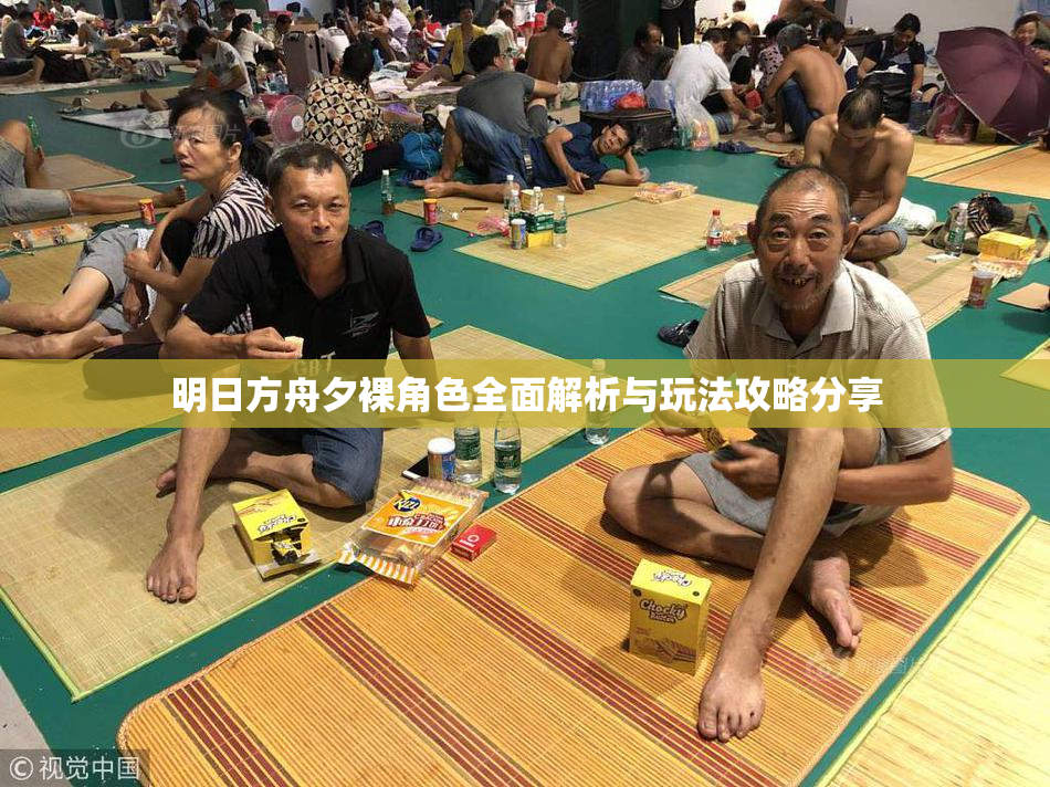 明日方舟夕裸角色全面解析与玩法攻略分享