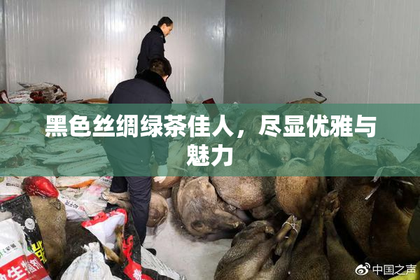 黑色丝绸绿茶佳人，尽显优雅与魅力