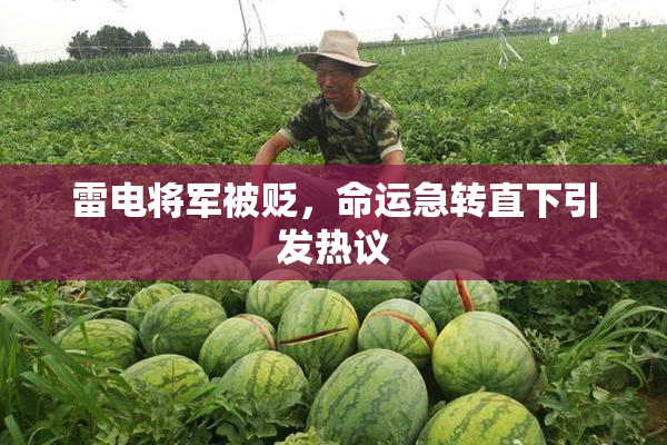雷电将军被贬，命运急转直下引发热议