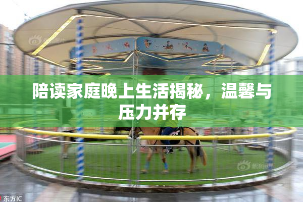 陪读家庭晚上生活揭秘，温馨与压力并存