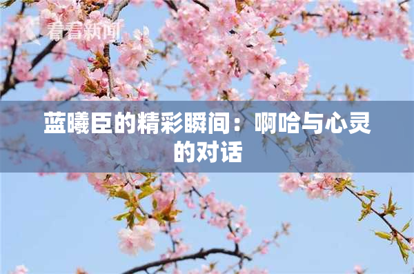 蓝曦臣的精彩瞬间：啊哈与心灵的对话