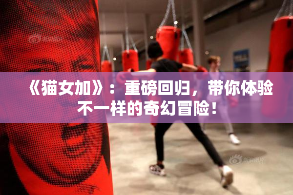 《猫女加》：重磅回归，带你体验不一样的奇幻冒险！