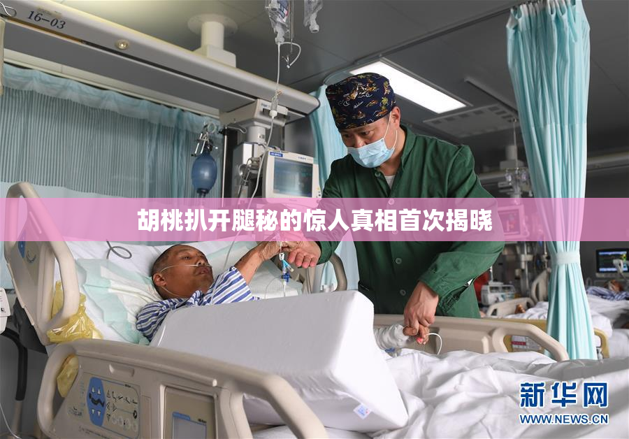 胡桃扒开腿秘的惊人真相首次揭晓