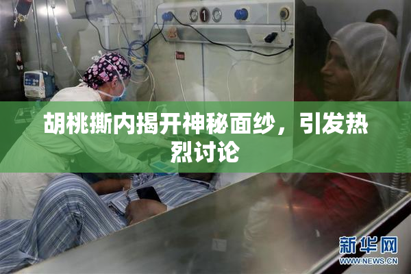 胡桃撕内揭开神秘面纱，引发热烈讨论