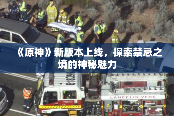 《原神》新版本上线，探索禁忌之境的神秘魅力