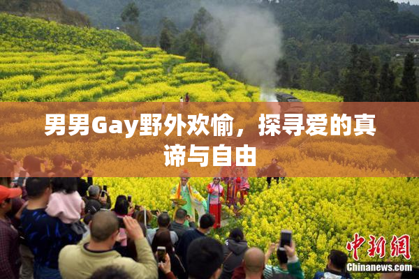 男男Gay野外欢愉，探寻爱的真谛与自由