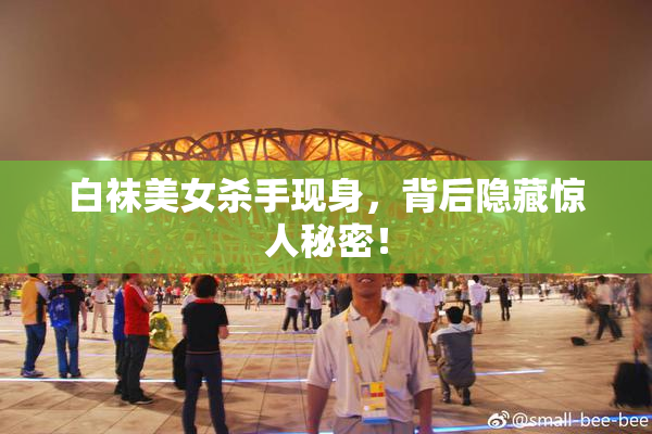 白袜美女杀手现身，背后隐藏惊人秘密！