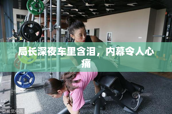 局长深夜车里含泪，内幕令人心痛