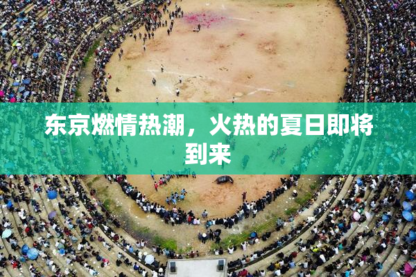 东京燃情热潮，火热的夏日即将到来