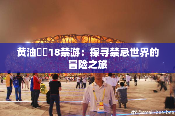 黄油❌‌18禁游：探寻禁忌世界的冒险之旅