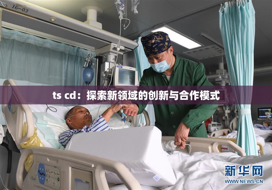 ts cd：探索新领域的创新与合作模式
