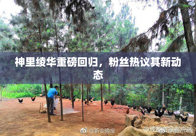 神里绫华重磅回归，粉丝热议其新动态