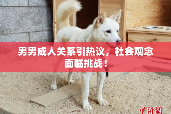 男男成人关系引热议，社会观念面临挑战！