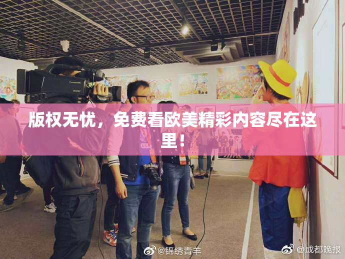 版权无忧，免费看欧美精彩内容尽在这里！