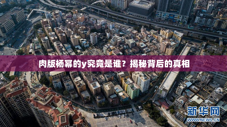 肉版杨幂的y究竟是谁？揭秘背后的真相