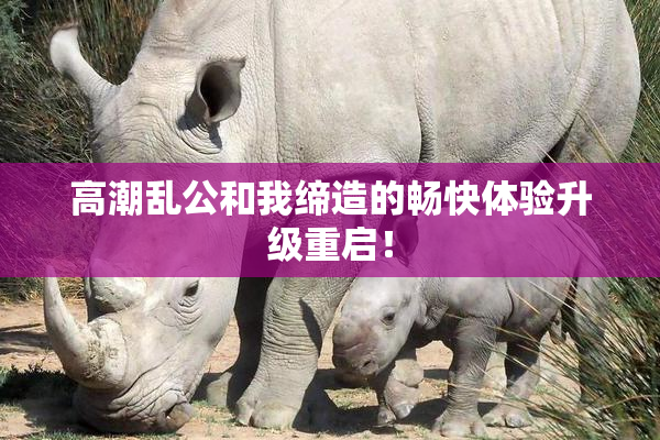 高潮乱公和我缔造的畅快体验升级重启！