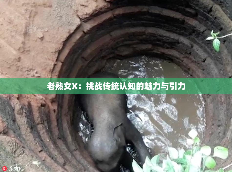 老熟女X：挑战传统认知的魅力与引力